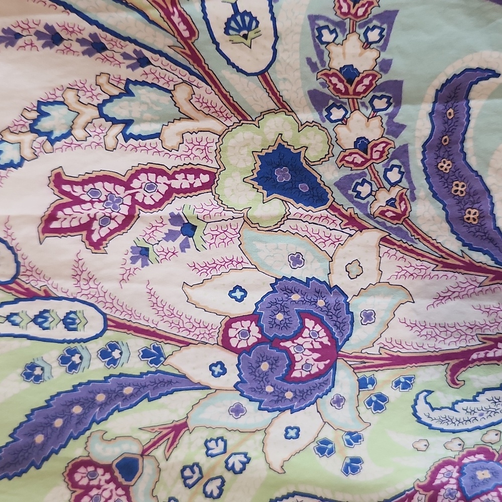 Etro Paisley Collared Button Down Long Sleeve - image 4